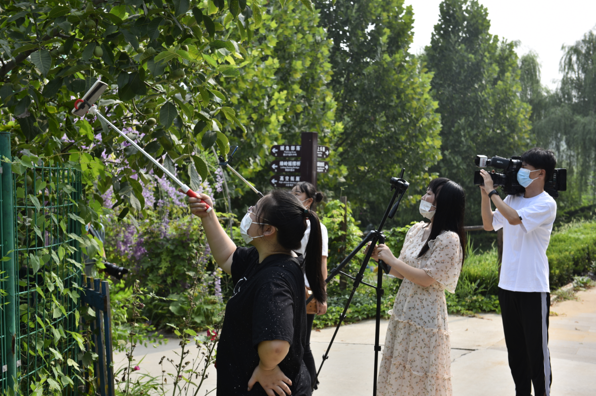 第十一屆中國(guó)核桃節(jié)在綠嶺核桃小鎮(zhèn)如約開幕